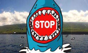 La phrase du jour (17/04/15) #lareunion #requin