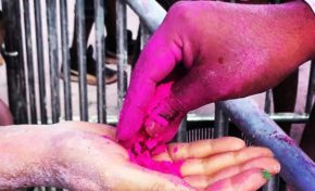 L'image du jour (19/04/15) #lareunion #holiholi