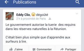 Île de La Réunion entre illettrisme moderne et bêtise humaine ?