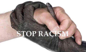 Image du jour (28/04/15) #racisme #racism #stopracism