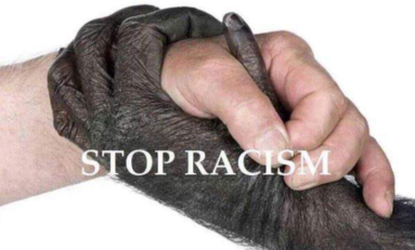 Image du jour (28/04/15) #racisme #racism #stopracism
