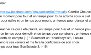 Camille #Chauvet invente les menaces du colimaçon