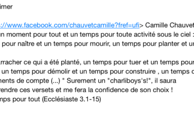 Camille #Chauvet invente les menaces du colimaçon