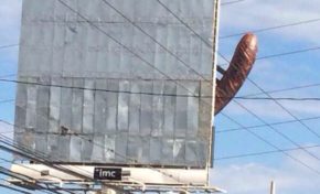 Images du jour (4/05/15)