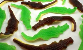 Au Lamentin...toujours pas de lamantins mais...un #crocodile