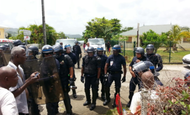 #Fourrière en #Martinique: après le remboursement morale de la dette...voilà le mémorable ACTe ?