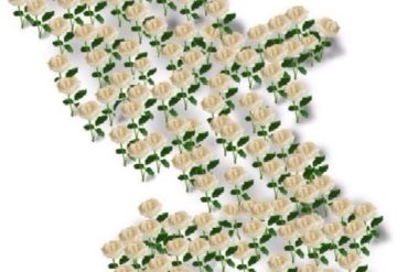 Nouveau remboursement moral ?