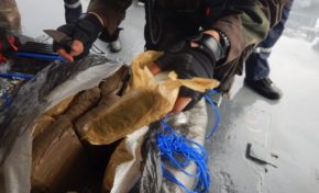 Interception d’une vingtaine de kilos de #Marijuana et de 3 présumés narcotrafiquants par la frégate de surveillance Ventôse