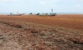 Ségolène #Royal...Faula virer ?