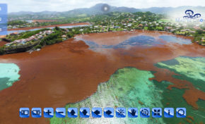 L'invasion des Sargasses vue du ciel