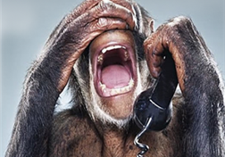 IL N'Y A PAS D'AFFAIRE CEREGMIA ! IL N'Y A PAS EU DE CRASH DE LA WEST CARIBBEAN ! IL N'Y A PAS EU D'EMPOISONNEMENT AU CHLORDECONE !