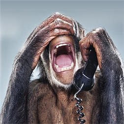 IL N'Y A PAS D'AFFAIRE CEREGMIA ! IL N'Y A PAS EU DE CRASH DE LA WEST CARIBBEAN ! IL N'Y A PAS EU D'EMPOISONNEMENT AU CHLORDECONE !