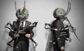 Mais que fait l'ARS ? 