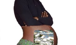 Bilan économique 2014 de la Guadeloupe et de la Martinique : l'Insee est une salope