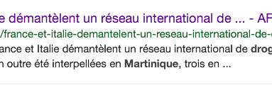  "Les journalistes de Martinique 1ère sont-ils des incompétents, ou des eunuques ? Ou un métissage des deux ?..."