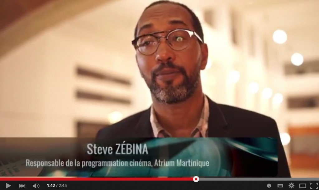 Steve Zébina - RCM