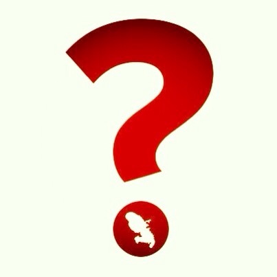 La femme violée aux Terres-Sainville à Fort-de-France en Martinique n'est pas Magalie Méjean 