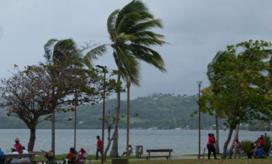 UFR/Chanflor gagne le Prix de la Fédération des Yoles Rondes de Martinique