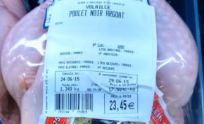 Hyper U lance l'année du pigeon en Martinique