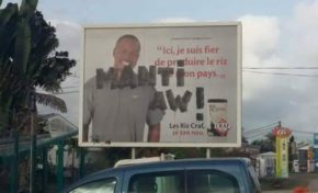 Arrêtez l'icône RIZ !!!