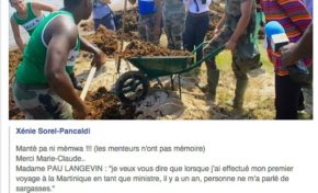 Serge Letchimy - George Pau-Langevin : 1-1