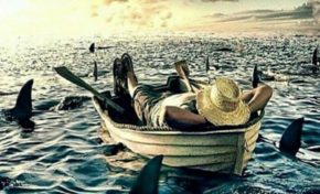 Image du jour [22/07/15]