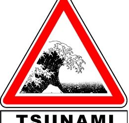 Activité du volcan sous-marin Kick’em Jenny : il n’y a pas d’alerte tsunamis en zone Antilles.