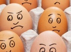 Comment tuer le poussin dans l'œuf au cœur d'une magouille qui ne manque pas d'ingénierie