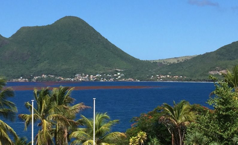 Vas-y Chantal c'est bon...vas-y Chantal c'est bon bon bon !!!