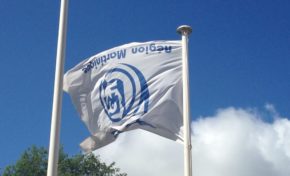 La Martinique avance et le chauve sourit