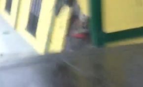 Erika n'aime pas Dominique