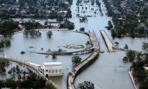 Erika Badu ? Non...Erika ou bad