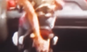 Île de La Réunion : le motard cache la plaque de son scooter et se retrouve à  côté de la plaque