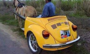 L'image du jour [26/09/15]