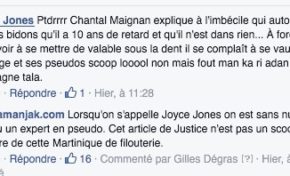 Joyce Jones = Chantal Maignan ...une schizophrénie qui manque d'ingénierie au cœur de la démocratie participative