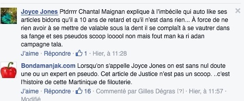 Joyce Jones = Chantal Maignan ...une schizophrénie qui manque d'ingénierie au cœur de la démocratie participative