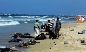 L'image...d'un jour...