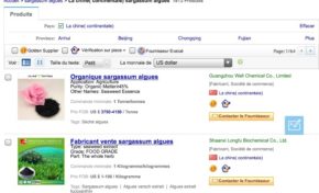 Algues sargasses : et si nos élus (es) étaient les plus cons, les plus connes du monde ?