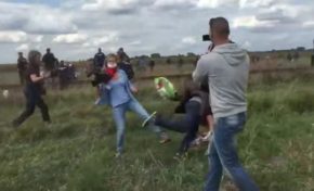 La journaliste, la carte de presse, le migrant et le croche-pied