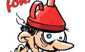 Conseil général de la Martinique : vers une "Maninpulation" psychologique ?