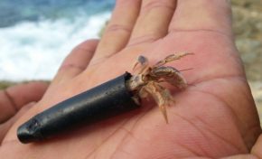 L'image du jour [21/09/15]