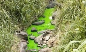 Hier la ravine coulait en magenta...aujourd'hui elle coule en vert