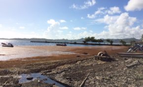 L'image du jour [14/10/15]