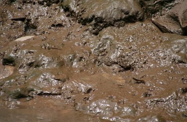 NRL : rendez-vous à la prochaine coulée de boue ?