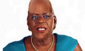 FUSION OU PHAGOCYTAGE ?