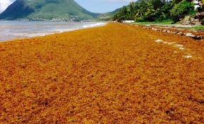 Rétablir les faits concernant les « habilitations »