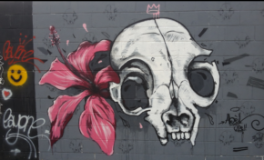 L'image du jour [ 08 / 11 / 15]