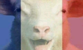 Mèè...Oh mon dieu...Oh my god...Oh Djee Zeus....