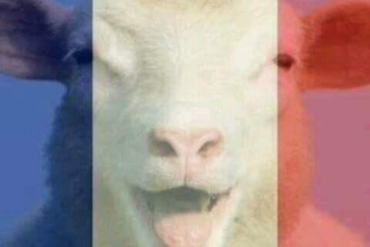 Mèè...Oh mon dieu...Oh my god...Oh Djee Zeus....