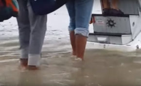 La nature nous a, hélas, donné raison !